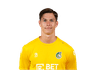 Ivor Pandur